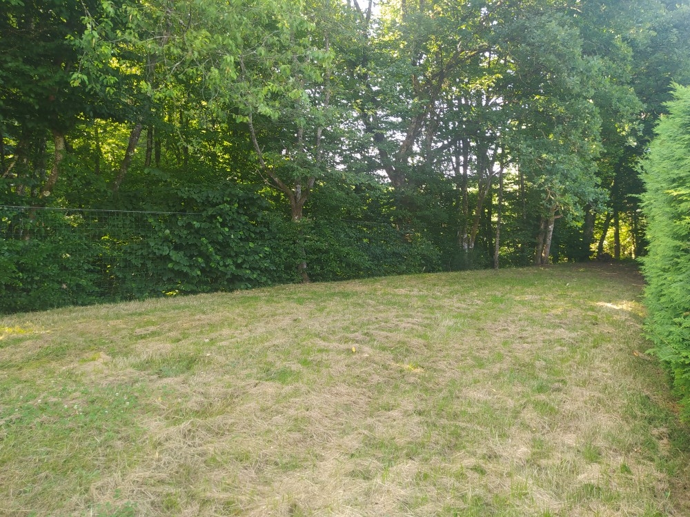 IMG_20250623_095612(3)